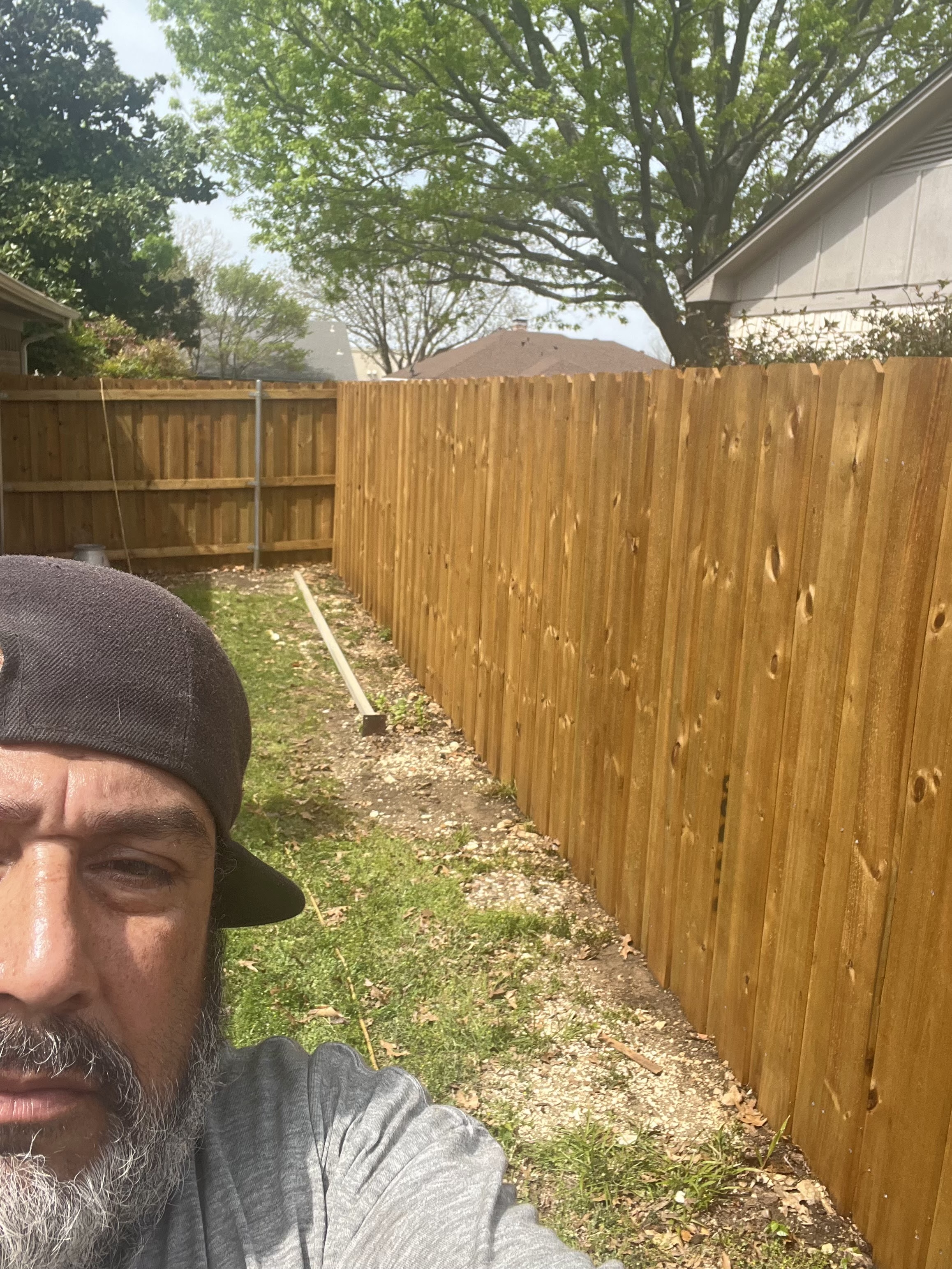 Newly installed cedar privacy fence